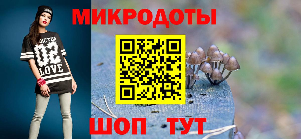 Псилоцибиновые грибы Cubensis Большой Камень